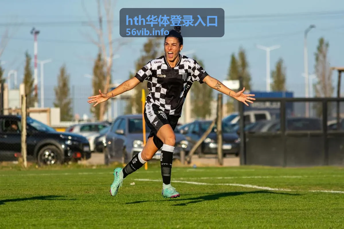 hth华体登录入口登录指南